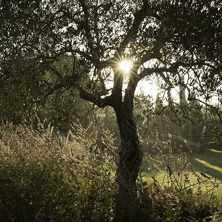Tenuta Santo Pietro